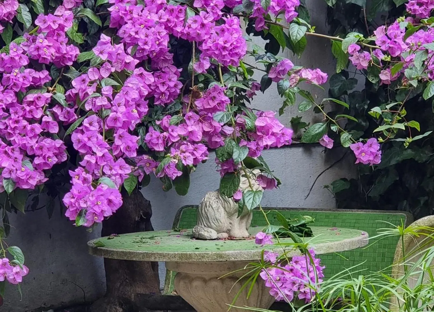 Vatican Fairytale Garden Rome Guest house